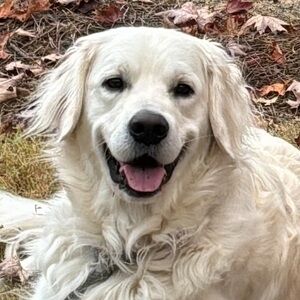 Meet your Posher, Jacquelyn